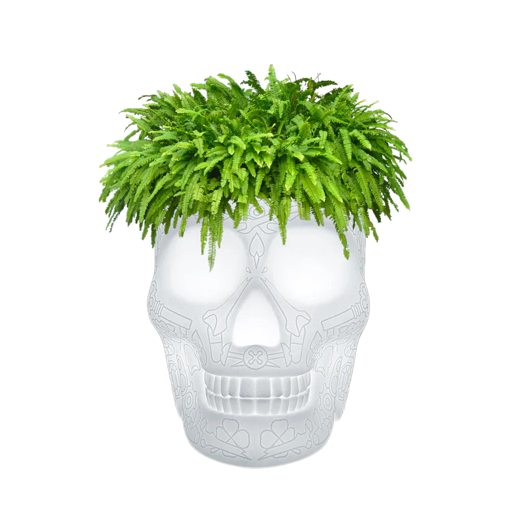 ¿Dónde comprar Qeeboo en Mallorca? Diseños icónicos en Absolut Home