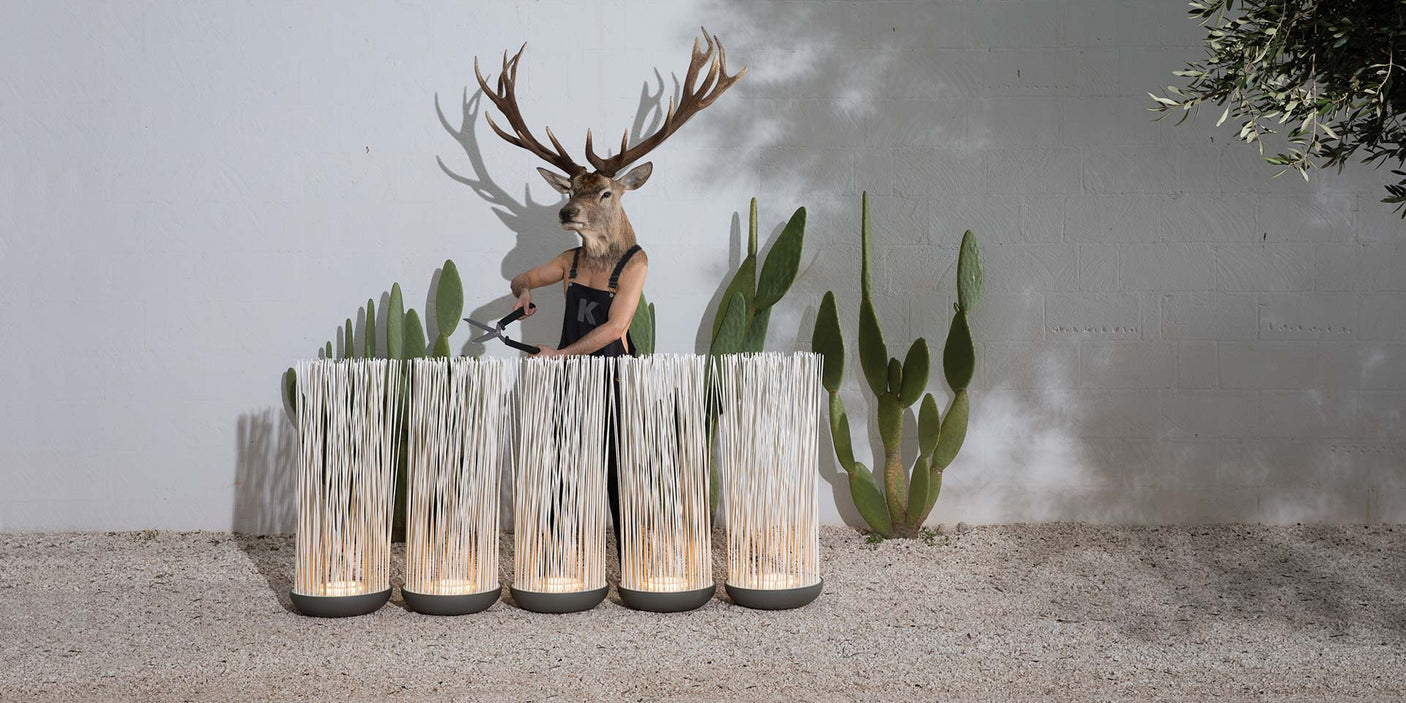 Don't Touch design lamp