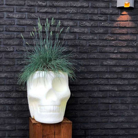Queebo Mexico planter