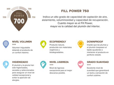 Nordic Hungarian goose down